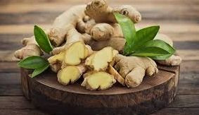 Ginger